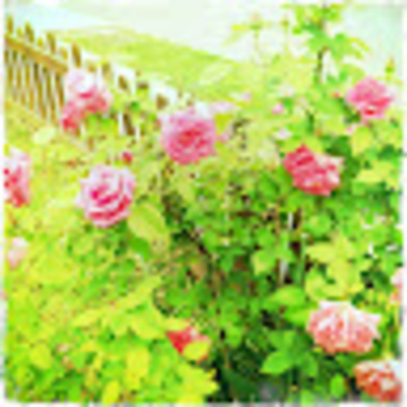 hollingsworth_l